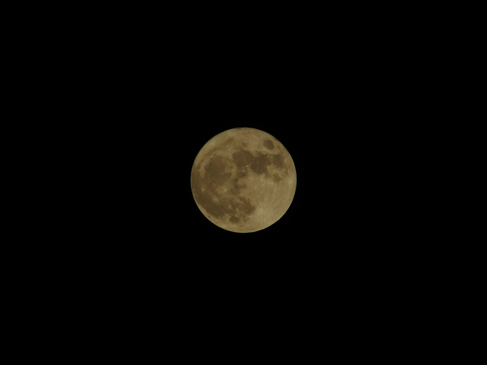 Nikon Coolpix L840 sample photo