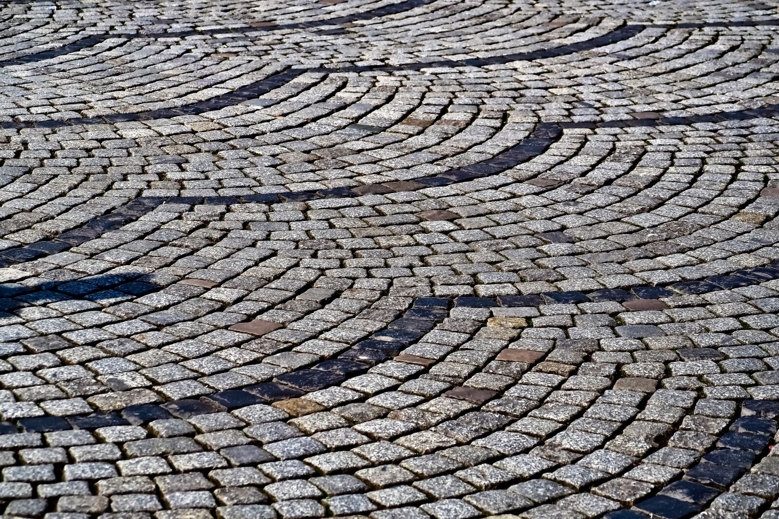 Olympus OM-D E-M10 sample photo. Pattern, texture, background photography