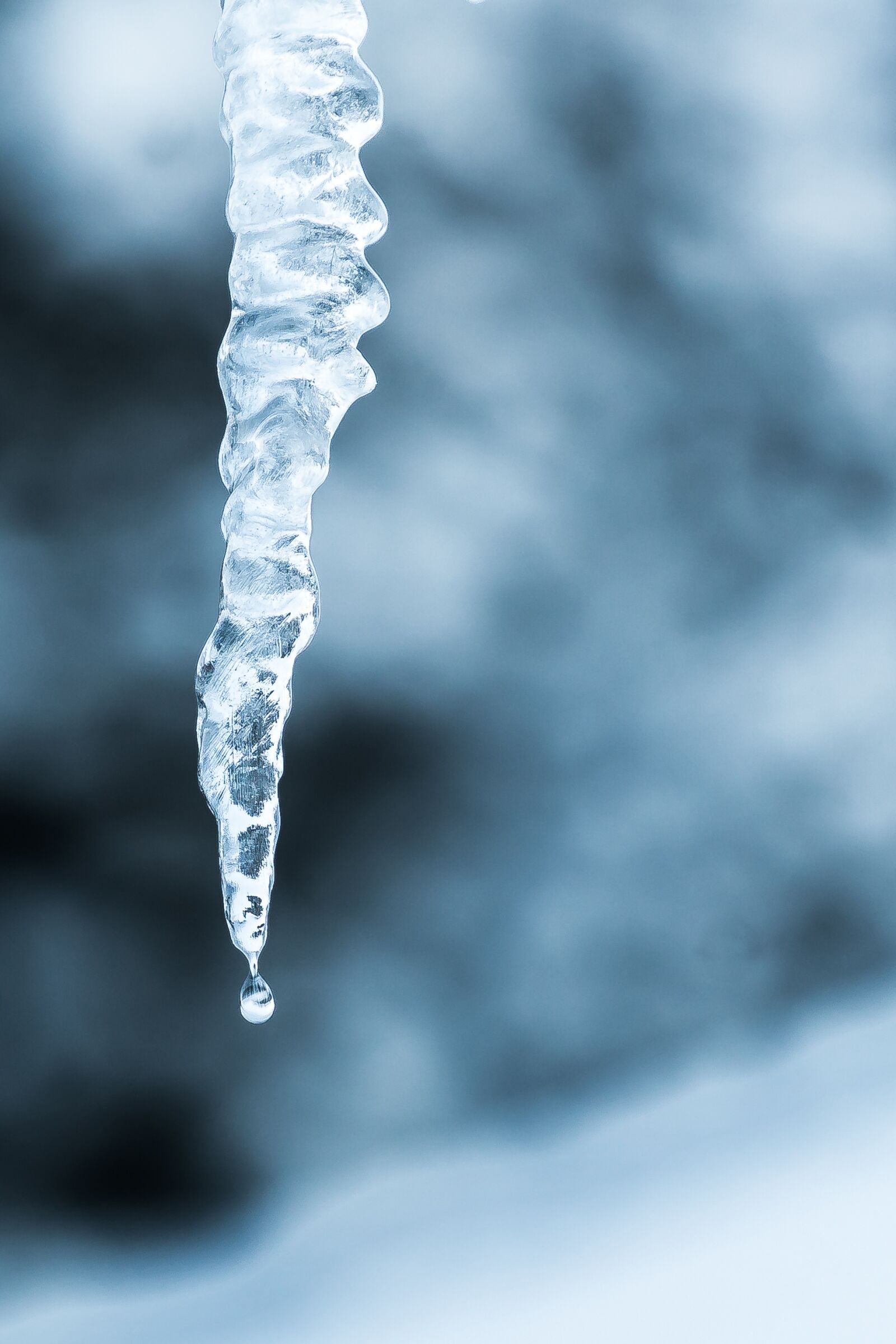 Sony a7R II + Sony FE 70-200mm F4 G OSS sample photo. Icicle, winter, snow photography