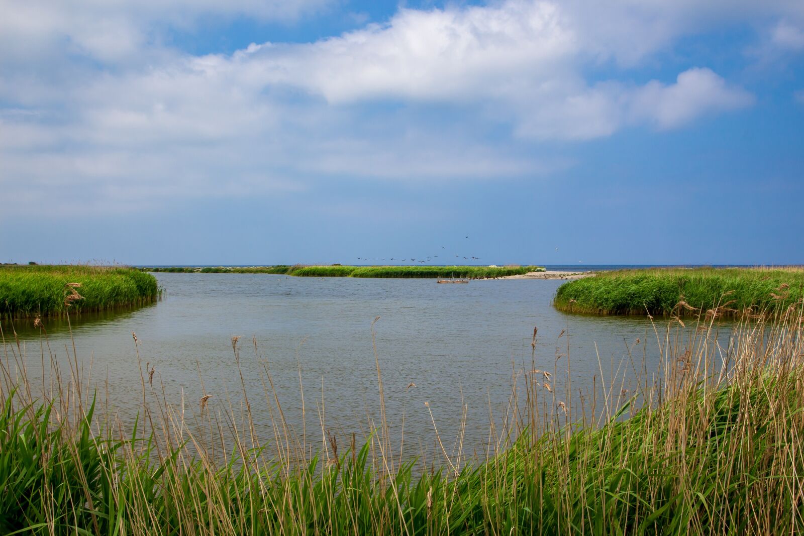 Canon EOS 700D (EOS Rebel T5i / EOS Kiss X7i) sample photo. Sea, sky, clouds photography