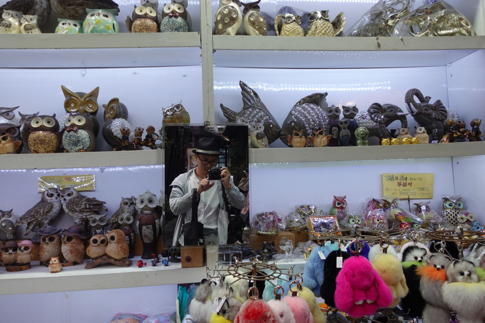 Sony ZV-1 sample photo