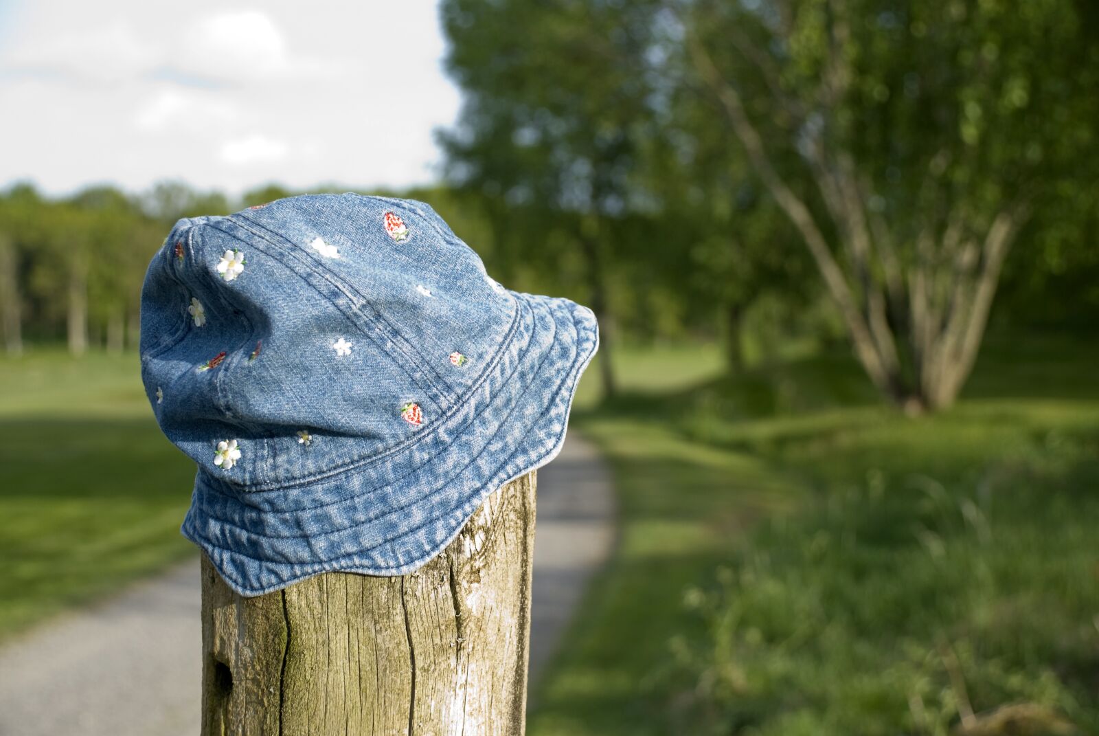 Nikon D80 sample photo. Lost, hat, found photography
