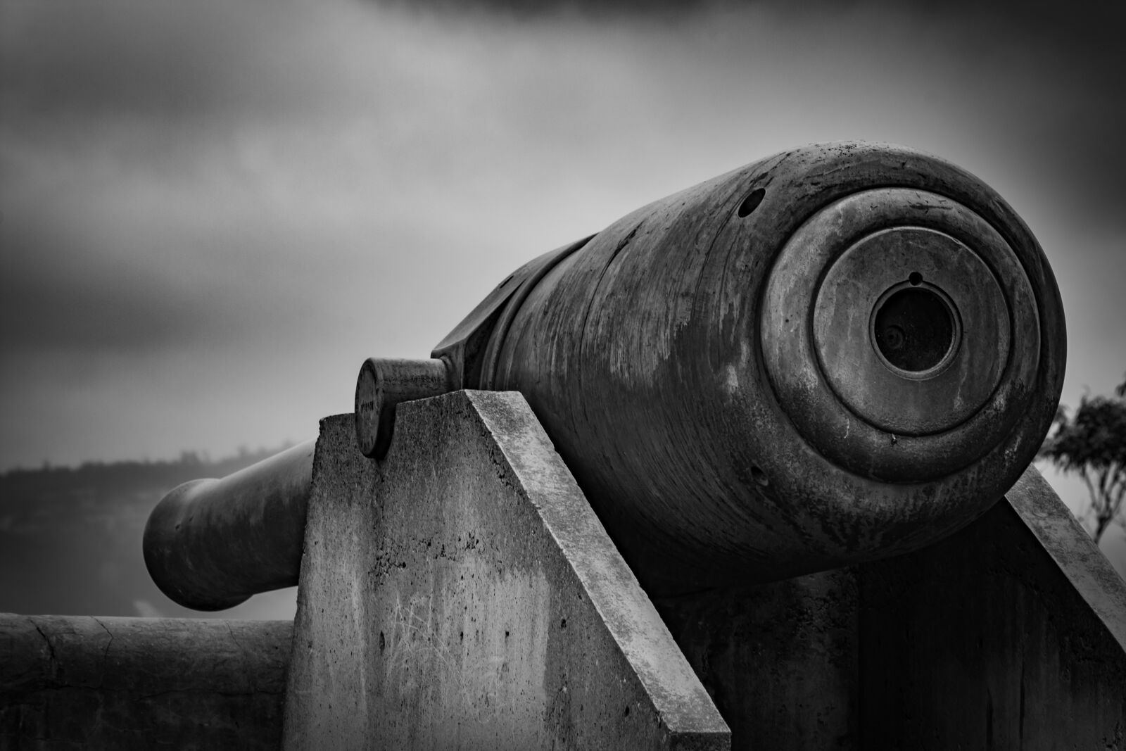Nikon D7200 sample photo. Cannon, gun, weapon photography