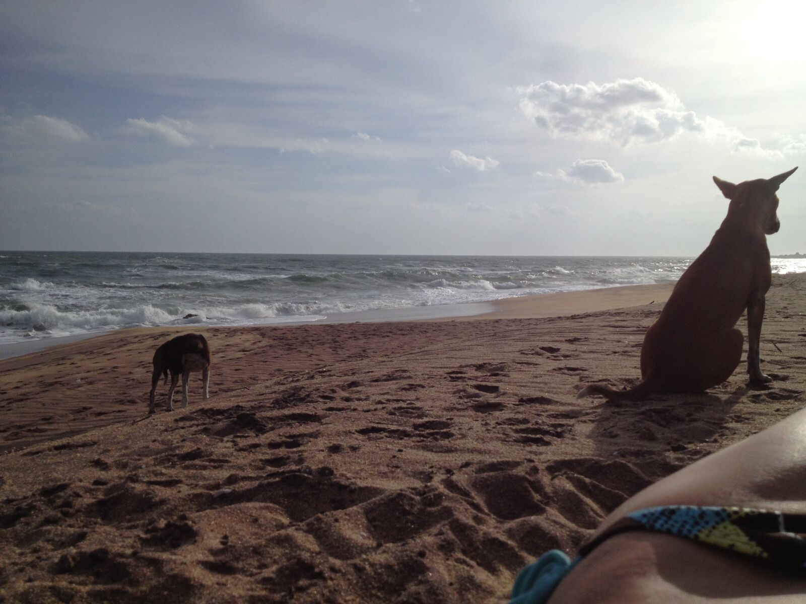 Apple iPhone 4S sample photo. Sri lanka, beach, lonely photography