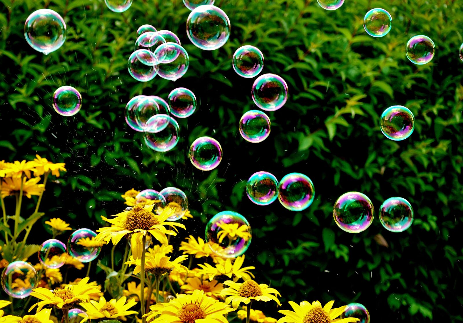 Sony DSC-RX100M5 sample photo. Soap bubbles, colorful, summer photography