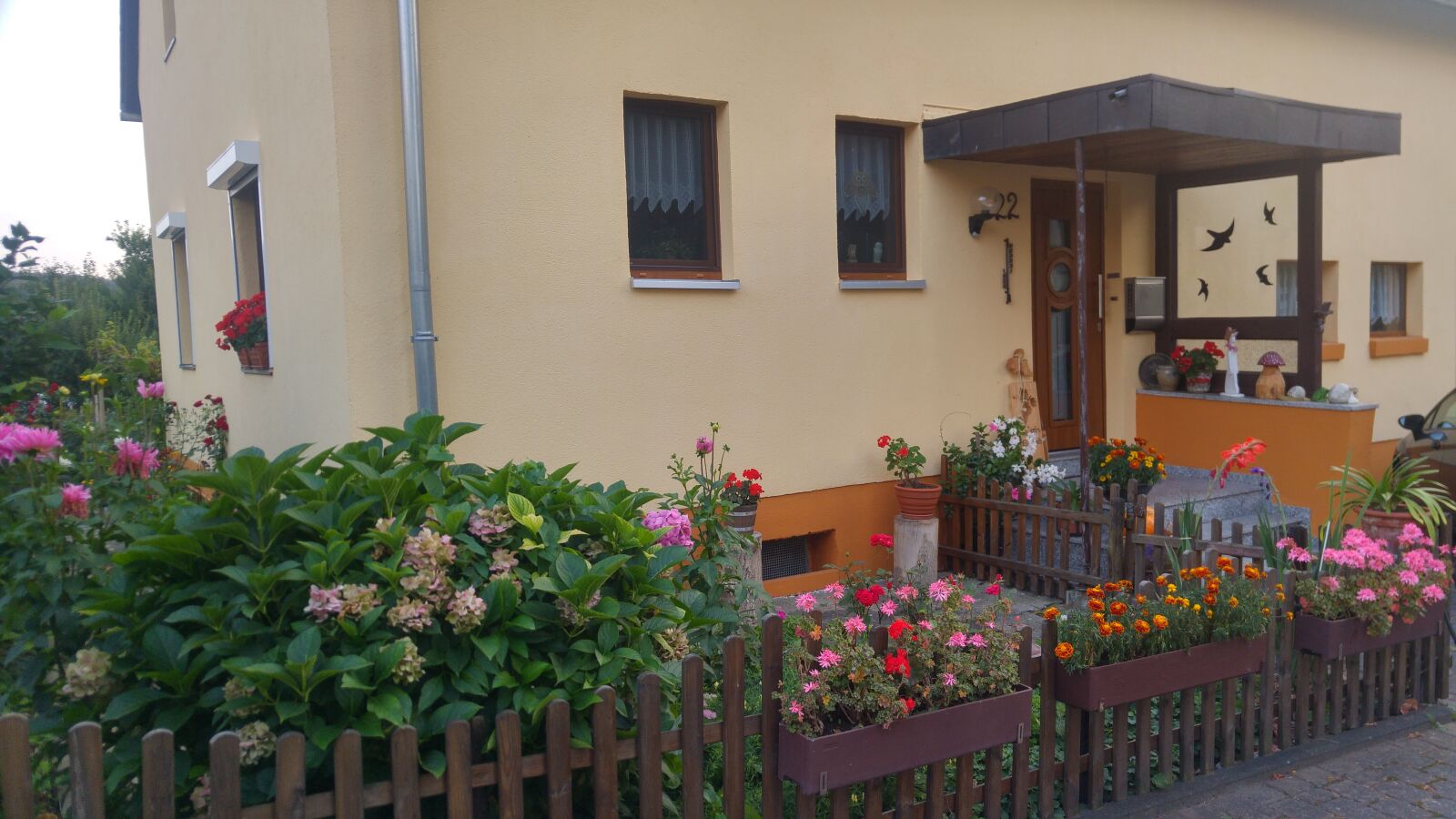 LG G4 sample photo. Flowers, house, sofa photography