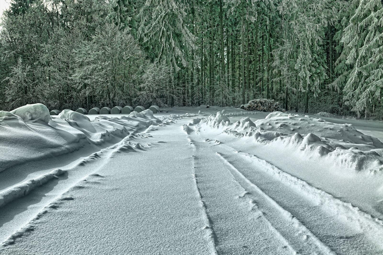 Sony Cyber-shot DSC-RX10 III sample photo. Snow, winter, nature photography