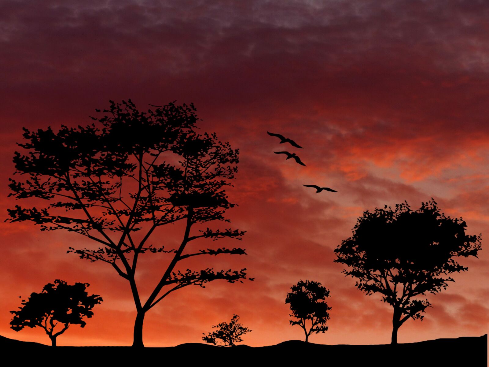 Panasonic Lumix DMC-FZ200 sample photo. Sunset, trees, savannah photography