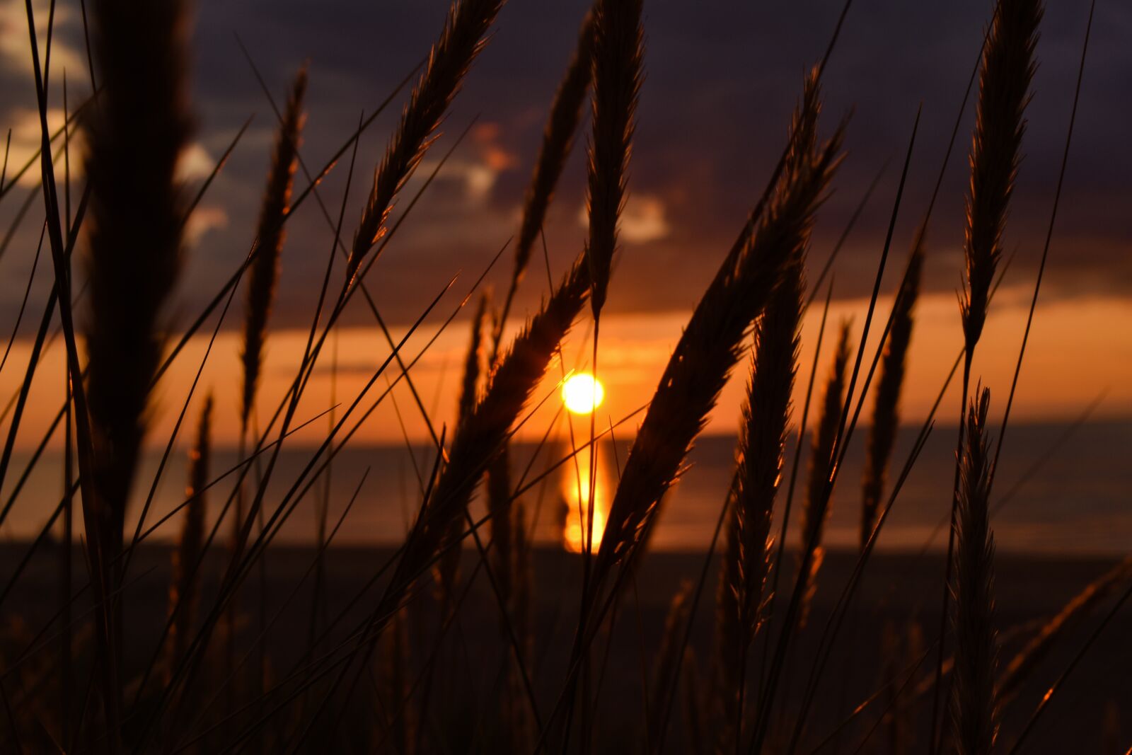 Nikon D5600 sample photo. Nature, sunset, coast photography