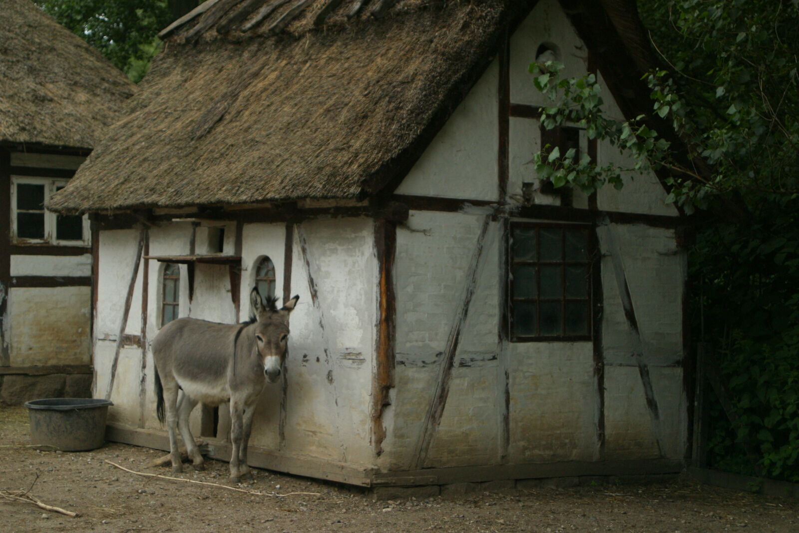 Canon EOS D60 sample photo