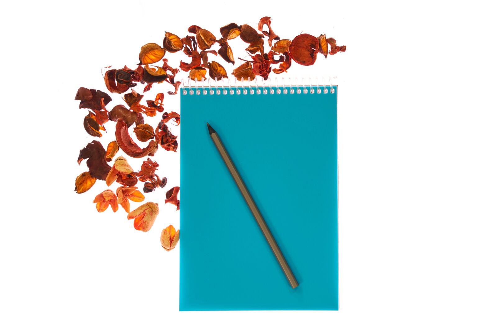 Sony a7R II sample photo. Notebook, pen, page photography