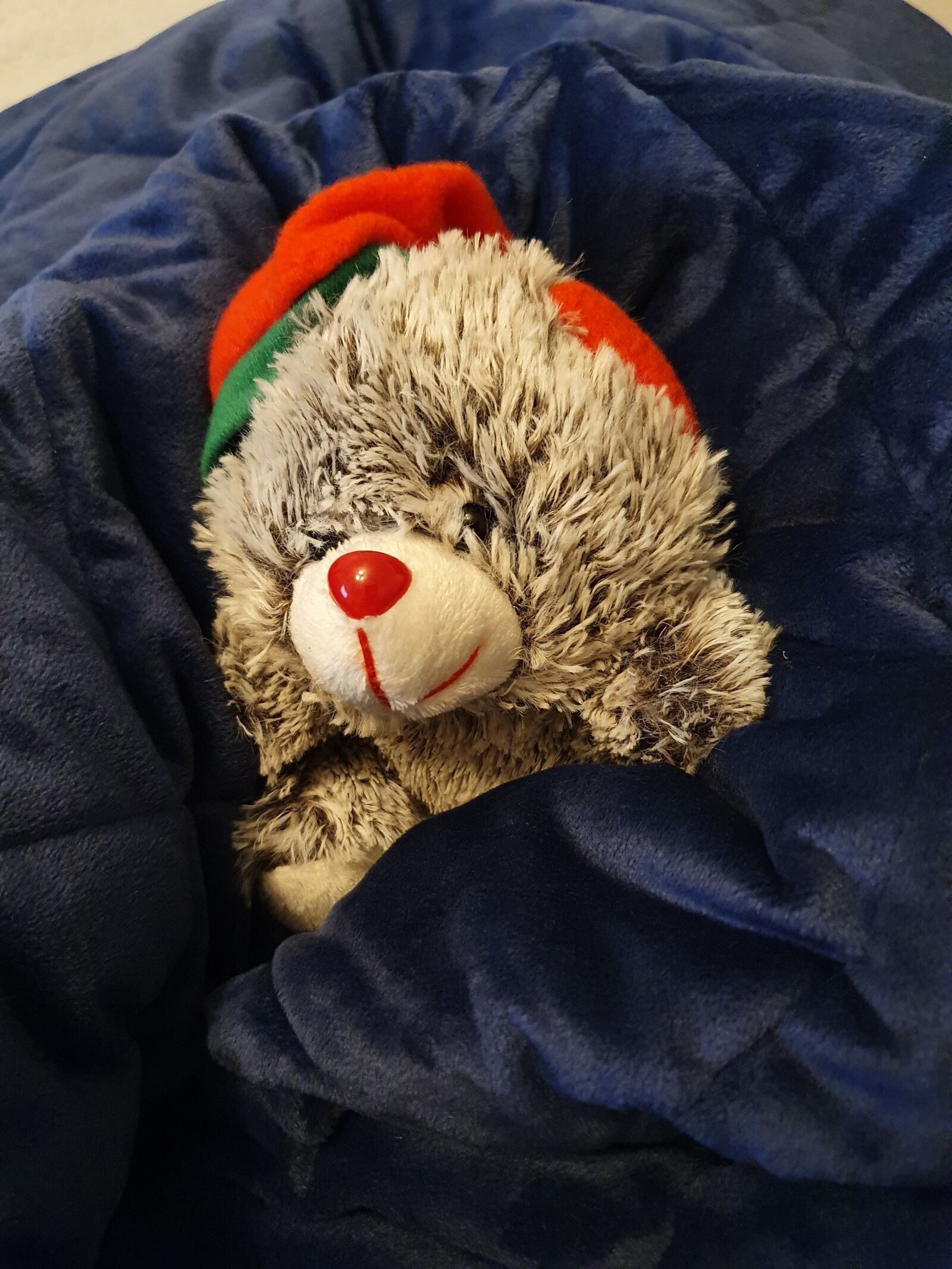 Samsung Galaxy S10 sample photo. Sleep, rest, blanket photography