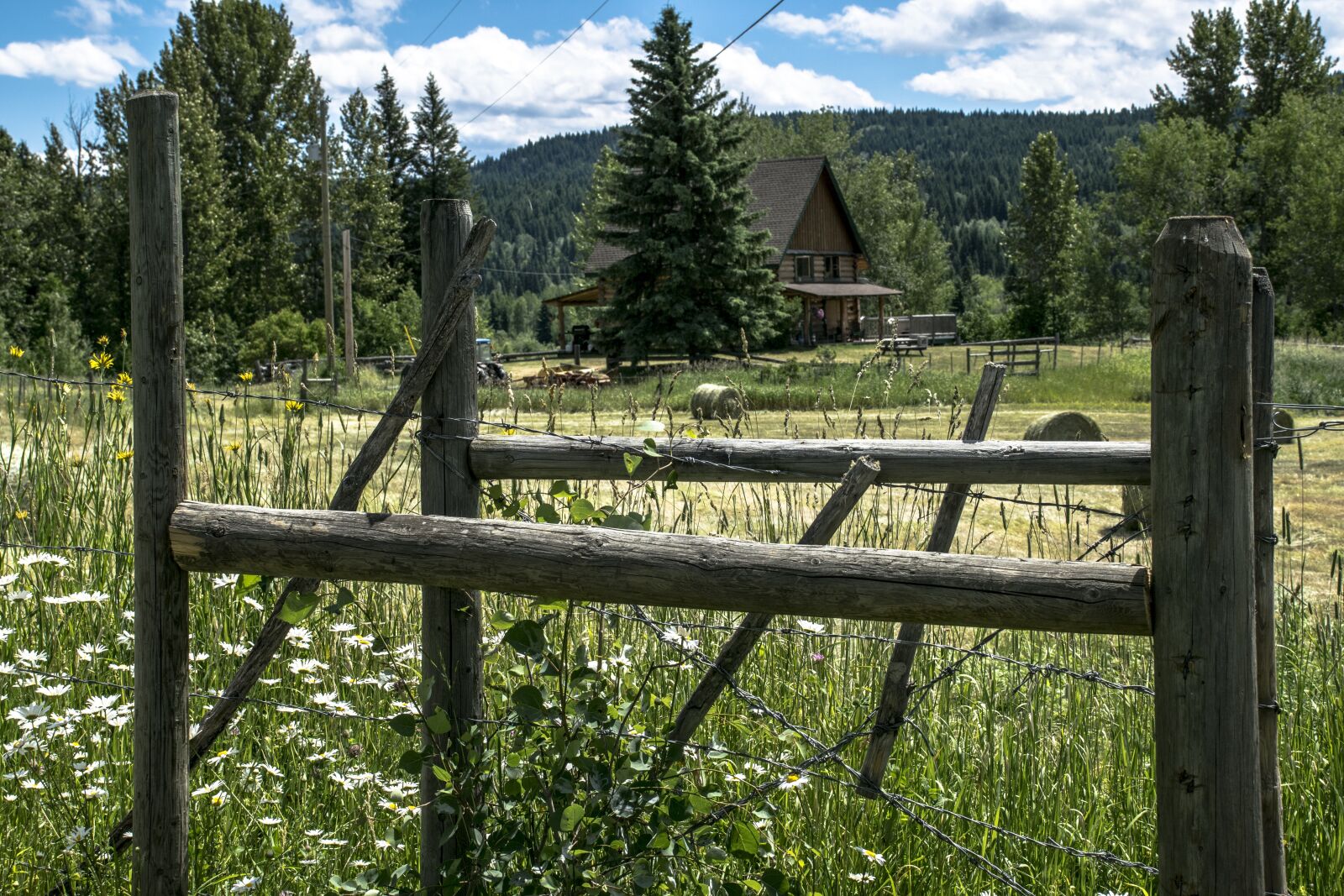 Nikon D3300 sample photo. Fence, wood, tree photography