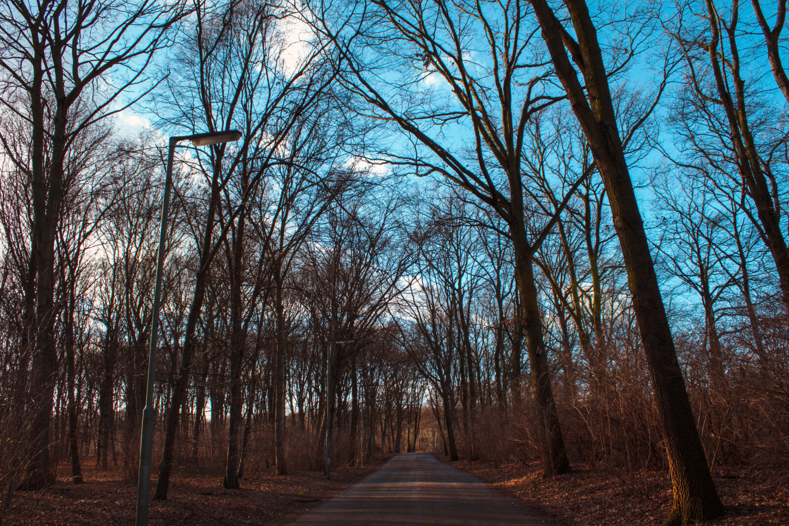 Canon EOS 700D (EOS Rebel T5i / EOS Kiss X7i) sample photo. Adobe, photoshop, berlin, blue photography