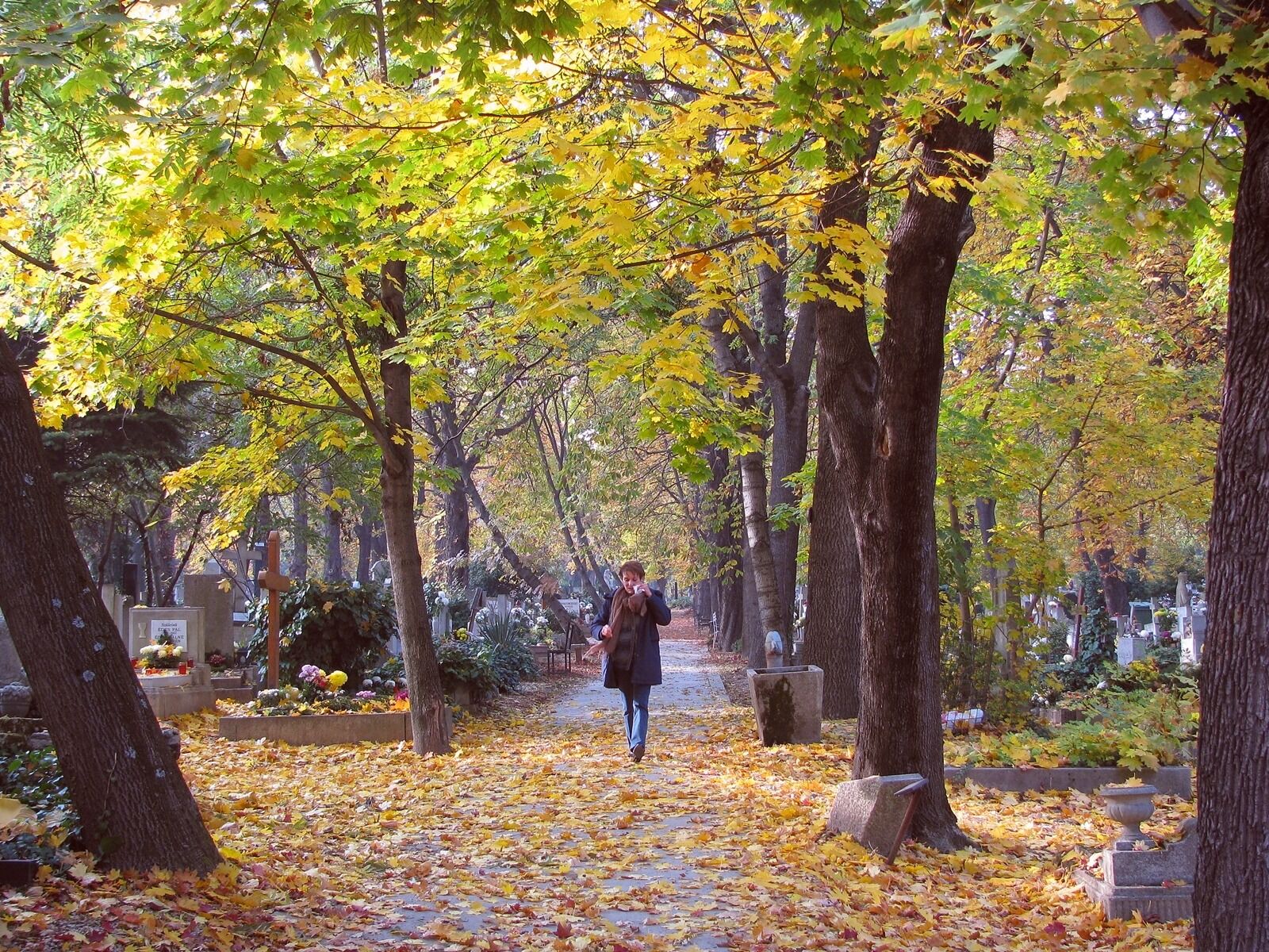 Canon PowerShot SX110 IS sample photo. Autumn, cemetery, grief photography