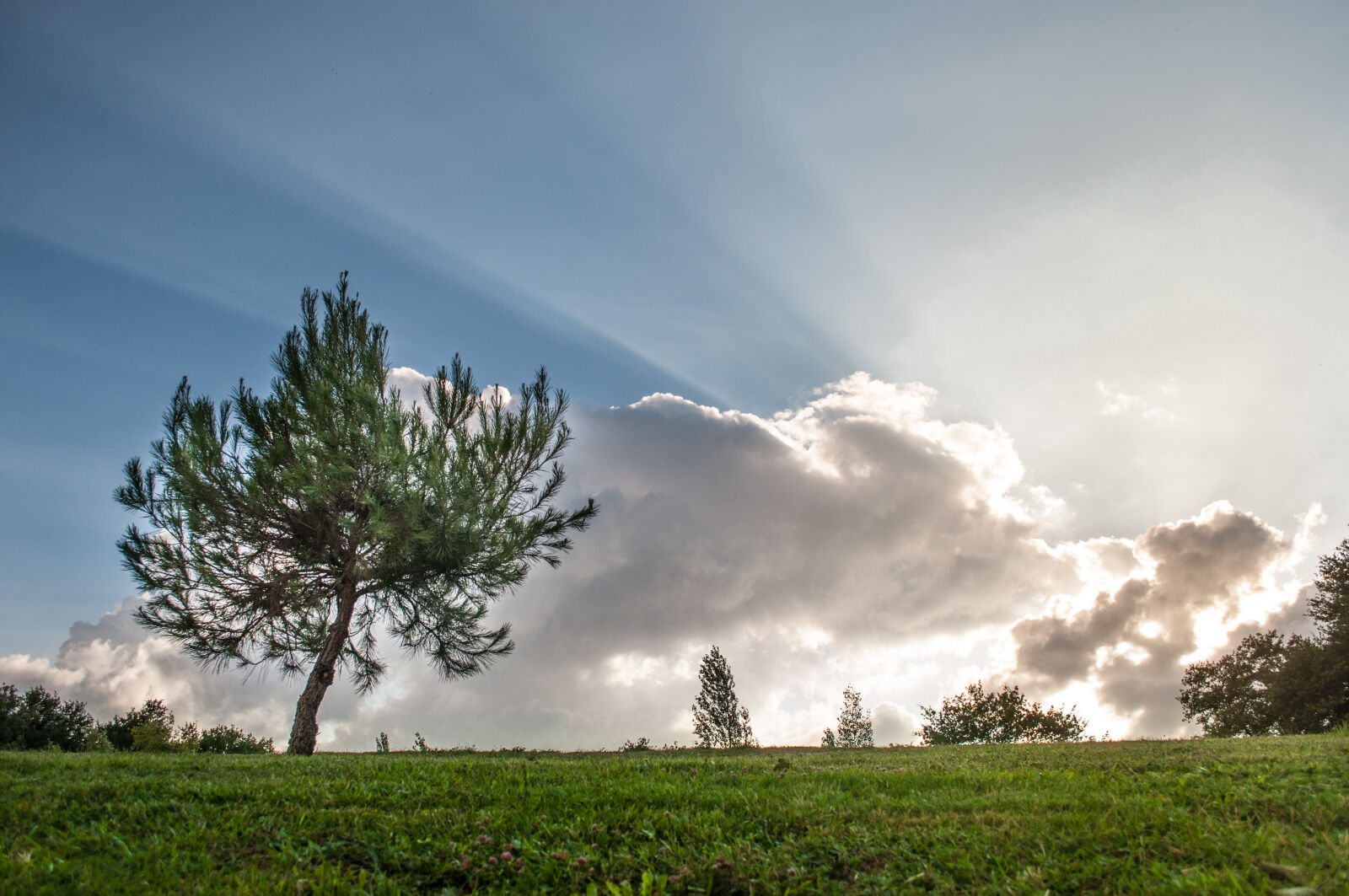 Nikon D5000 + Nikon AF-S DX Nikkor 18-55mm F3.5-5.6G VR sample photo. Clouds, environment, grass, idyllic photography