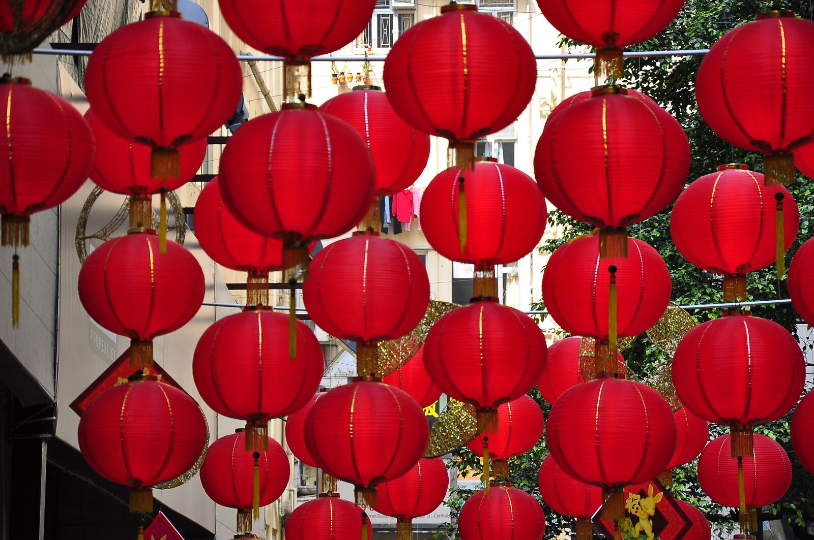 Nikon D90 sample photo. Hong kong, lantern, day photography