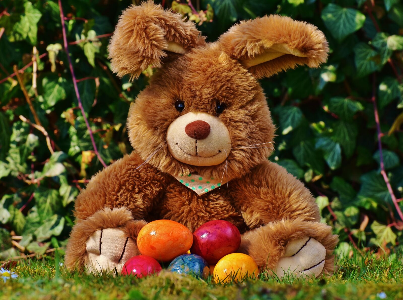 Nikon D7200 sample photo. Easter bunny, happy easter photography