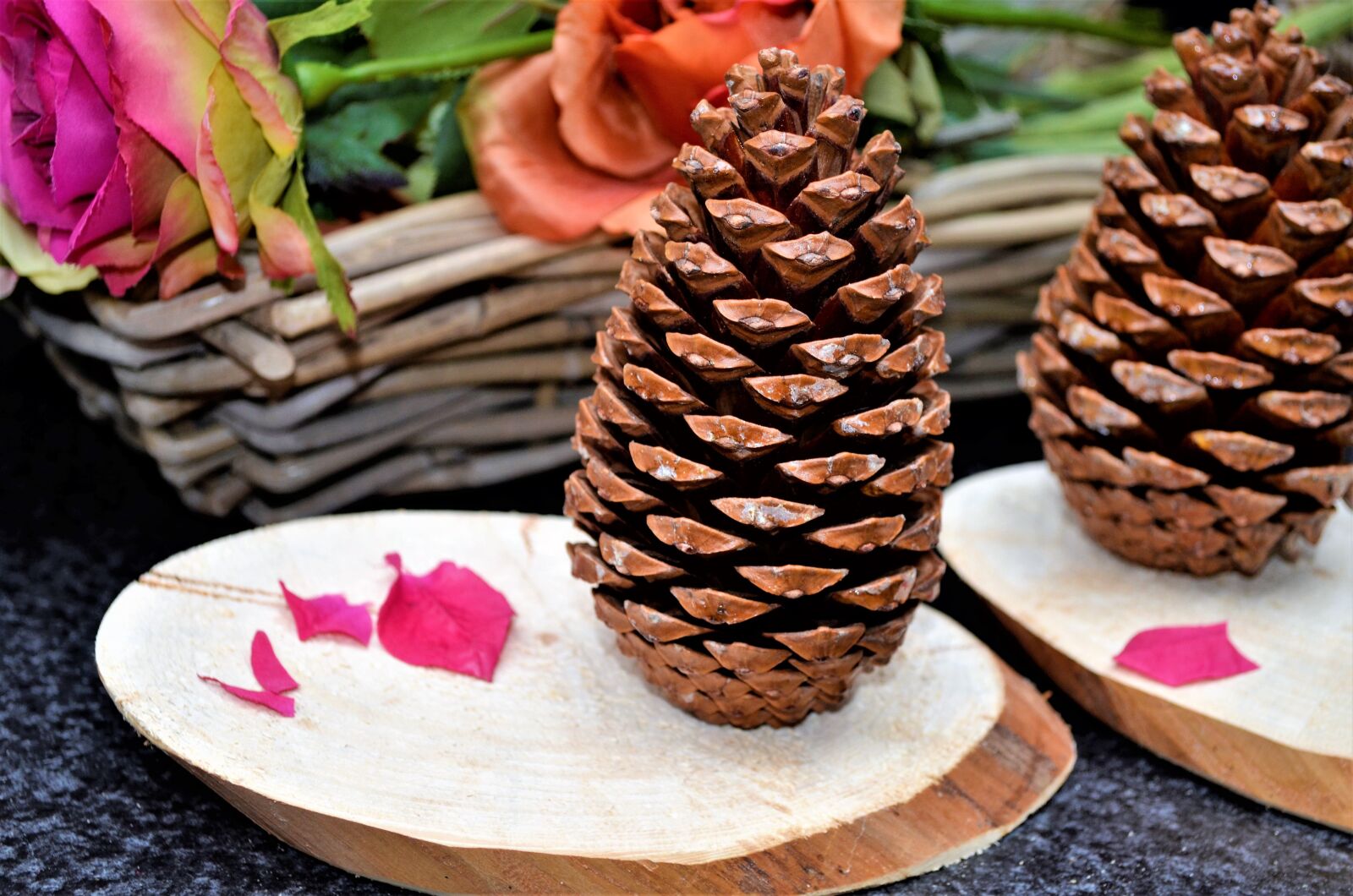 Nikon D5100 sample photo. Wood, pinecone, tinkering photography