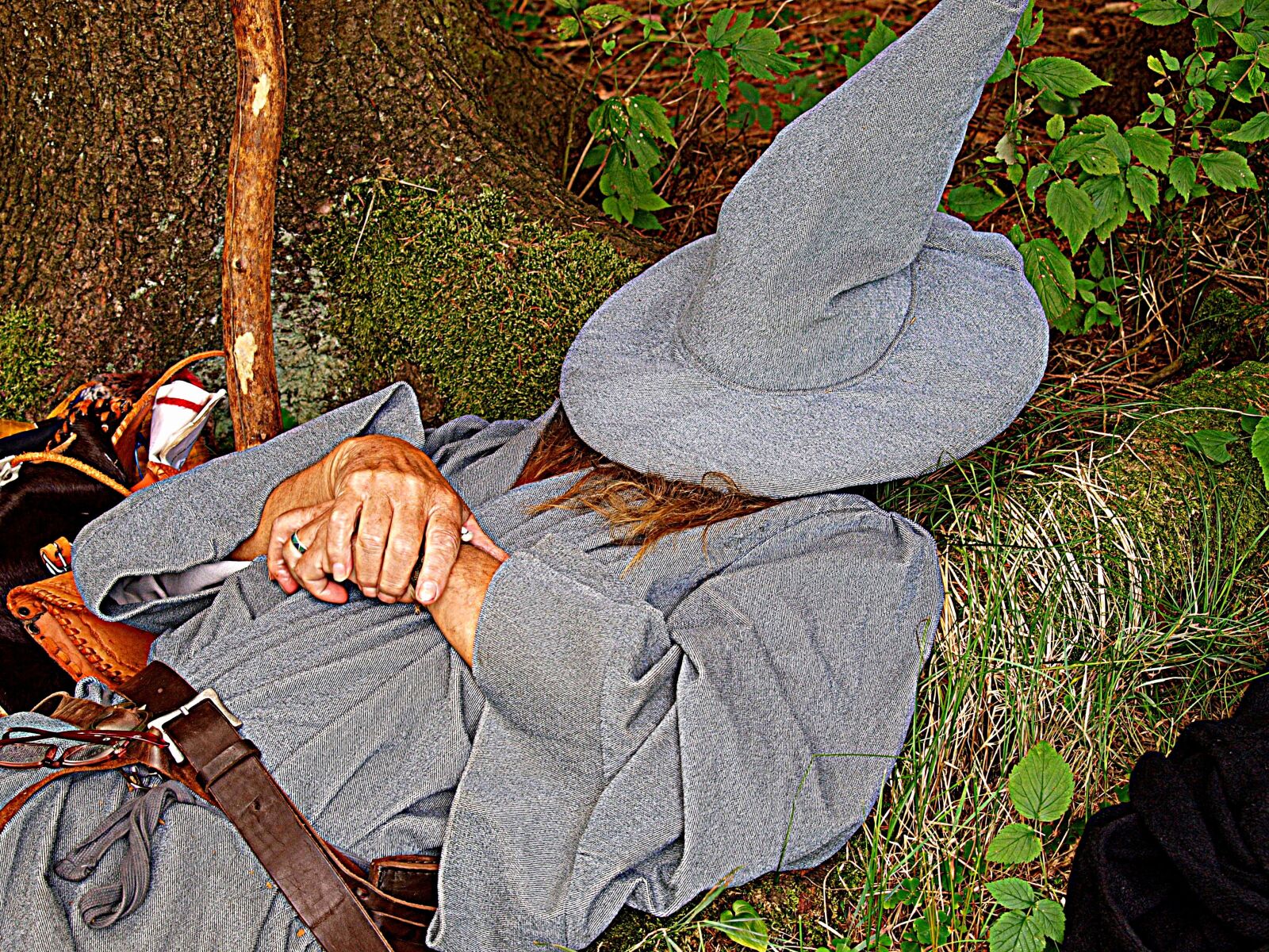 Olympus E-3 sample photo. Gandalf, middle earth, grey photography