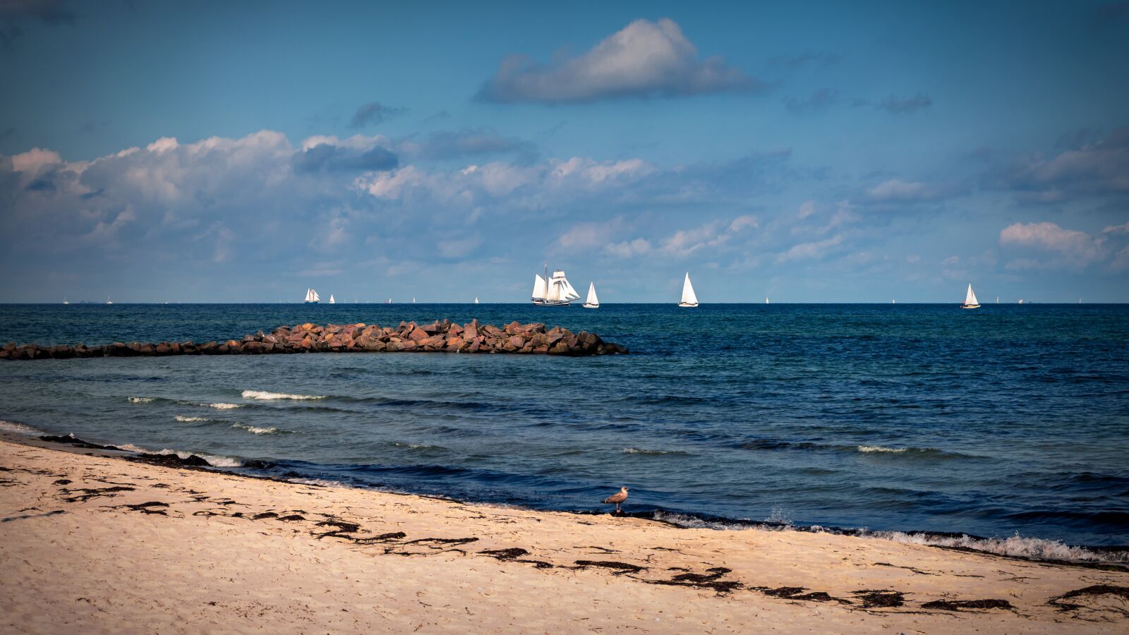 Sony a7 II + Sony FE 28-70mm F3.5-5.6 OSS sample photo. Sea, baltic sea, sailing photography