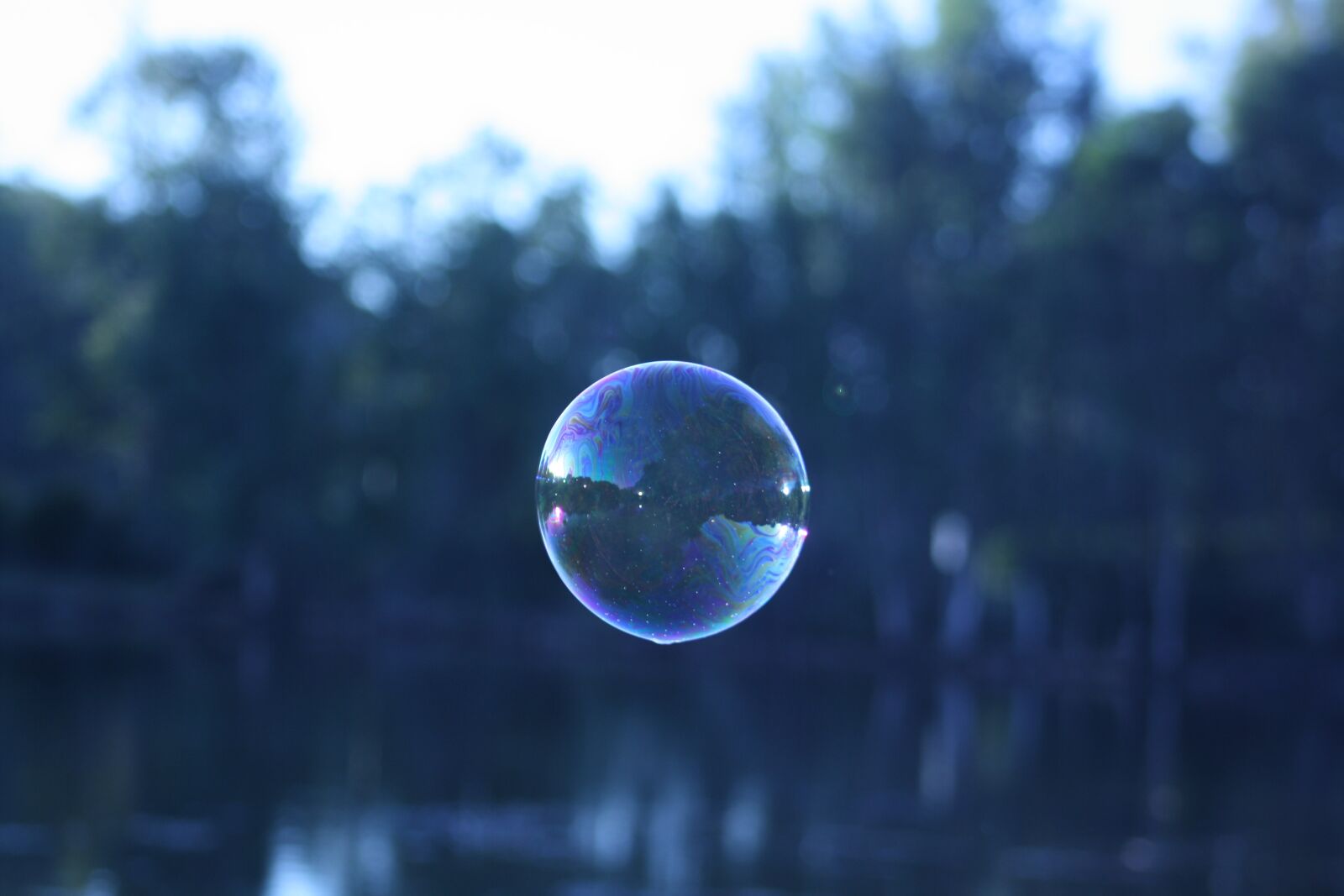 Canon EOS 1000D (EOS Digital Rebel XS / EOS Kiss F) sample photo. Bubble, trees, nature photography