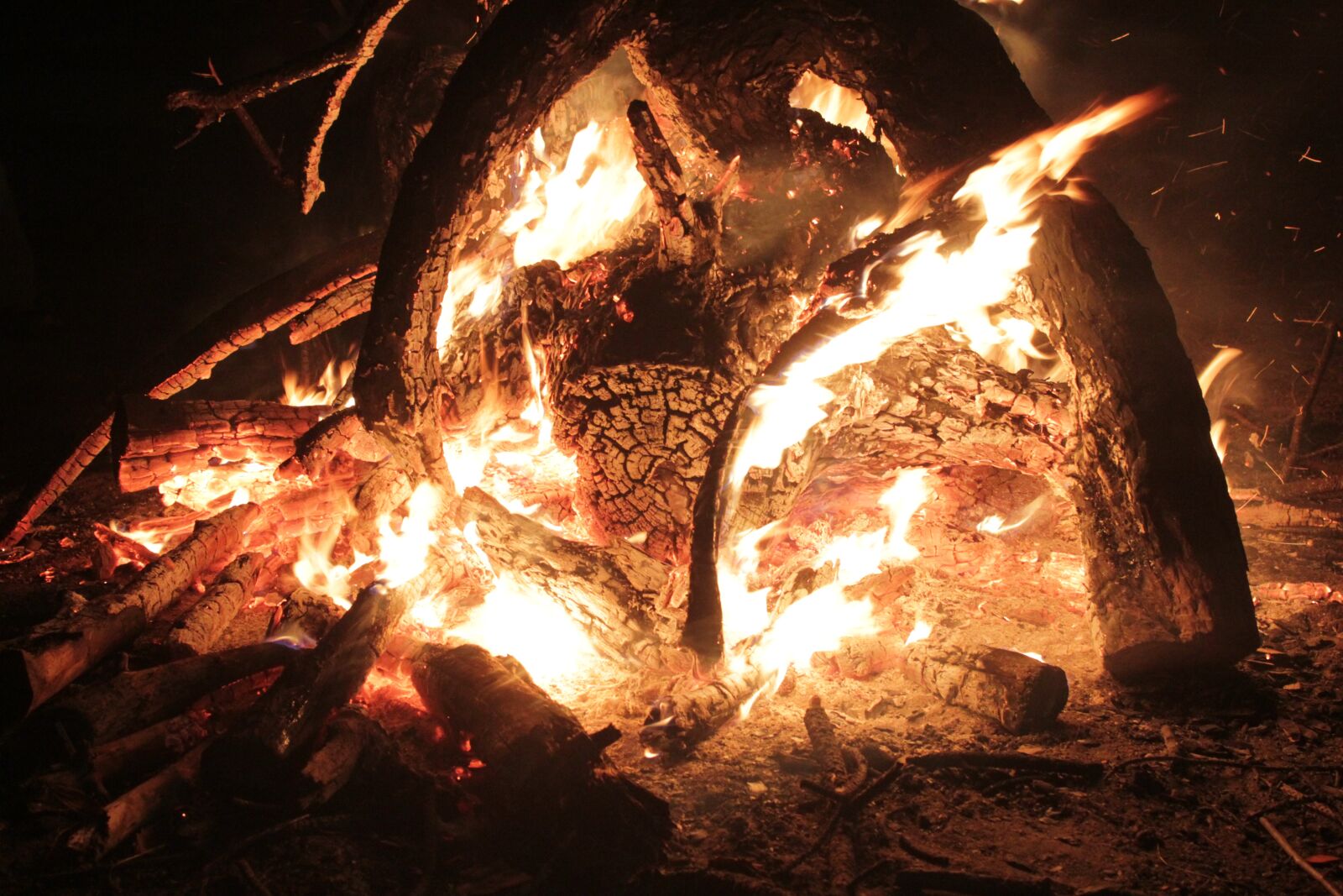 Canon EOS 550D (EOS Rebel T2i / EOS Kiss X4) sample photo. Camp, fire, blind photography
