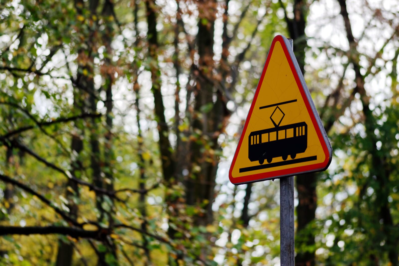 Nikon D5100 sample photo. Indicator, warning, tram photography