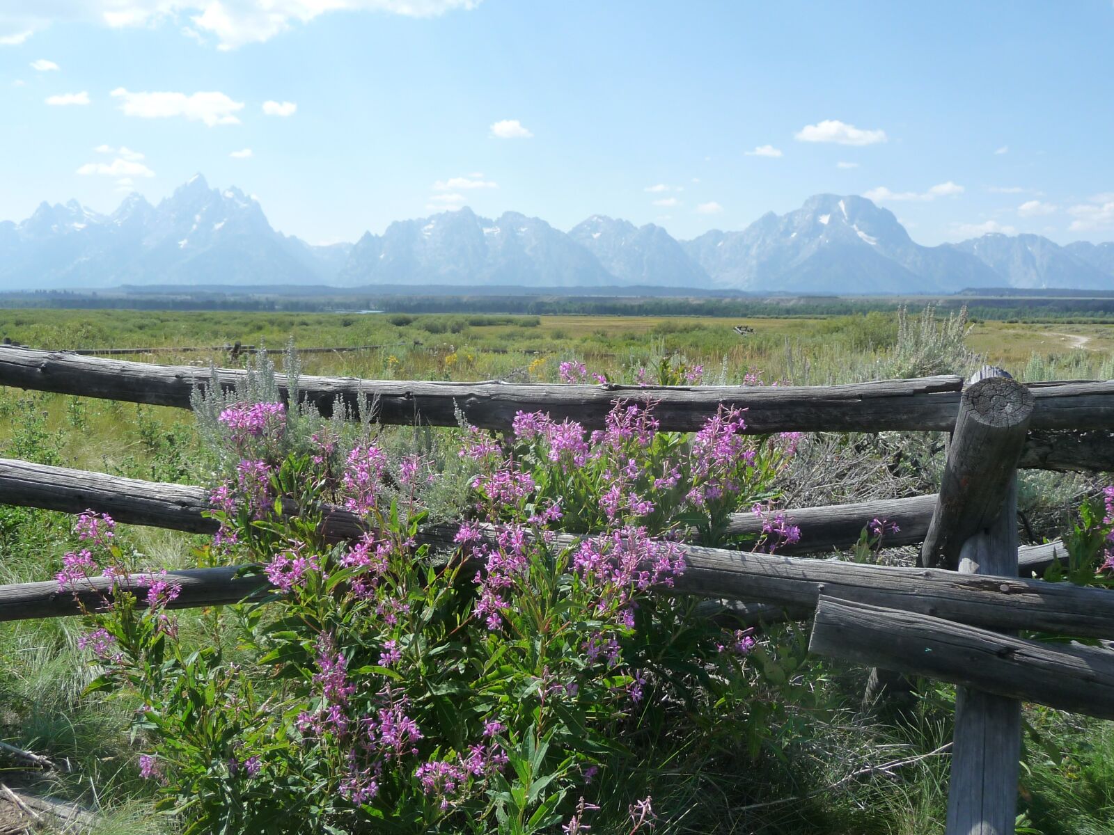 Panasonic Lumix DMC-TZ5 sample photo. Grand teton national park photography