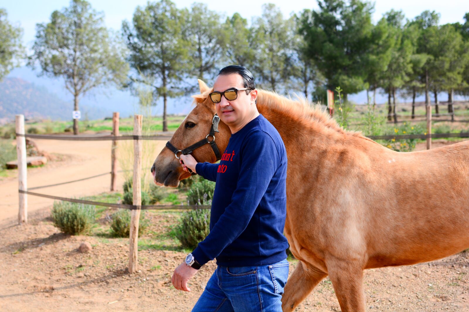 Nikon D7100 sample photo. Horse, atlas, mountains photography