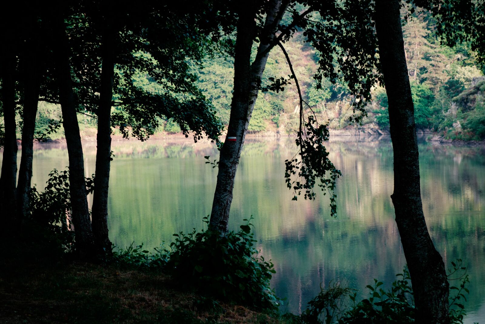 Sony Cyber-shot DSC-RX100 sample photo. Contrasts, lake, backlighting photography