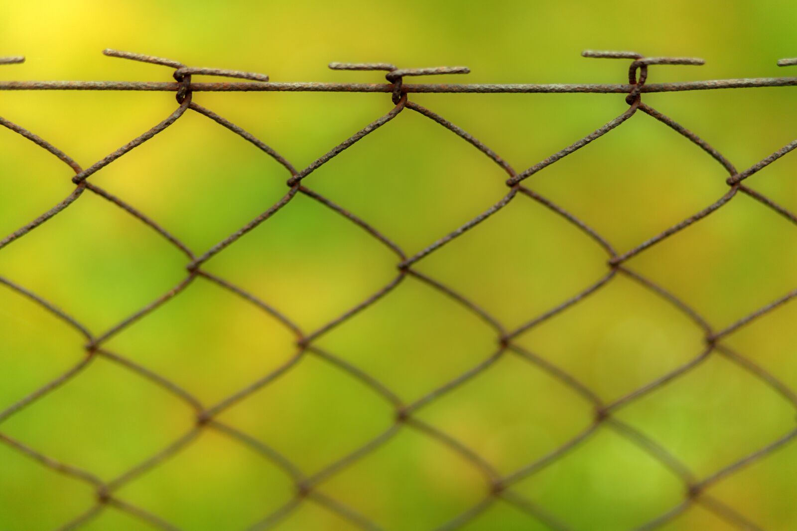 Canon EOS 5D sample photo. Fence, background, wire photography
