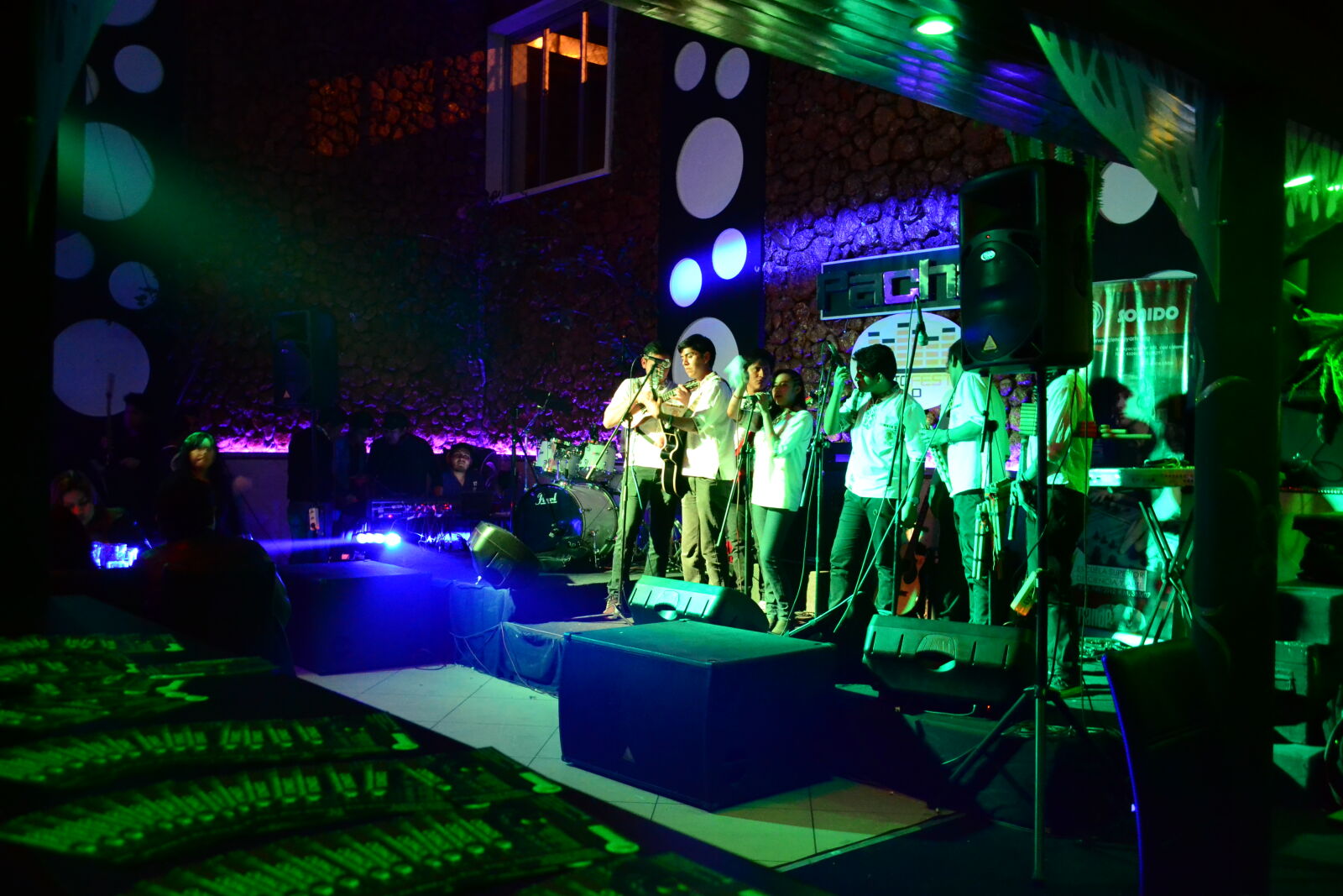 Nikon D3100 sample photo. In, the, concert photography