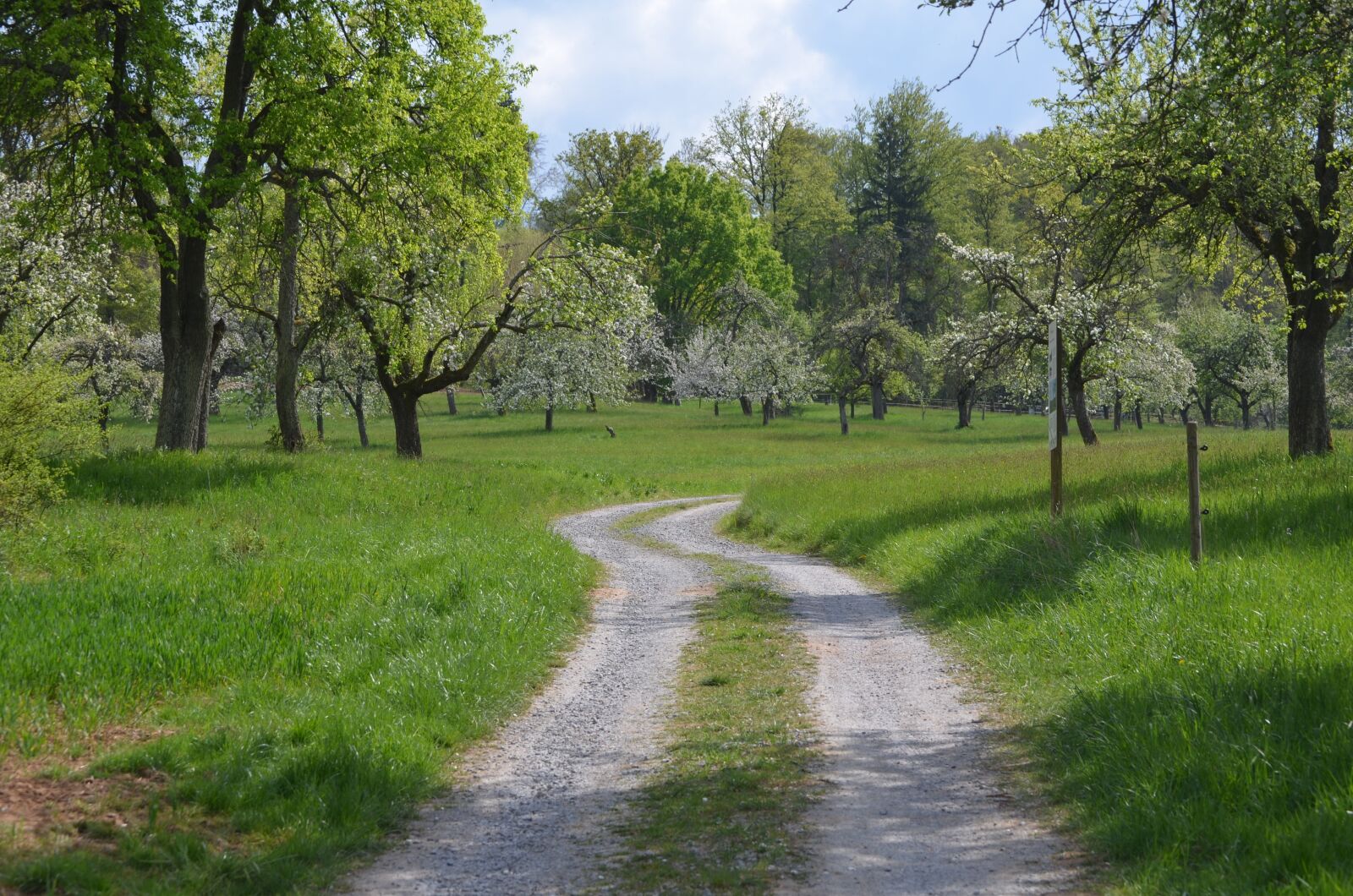Nikon D5100 sample photo. Away, silent, rest photography