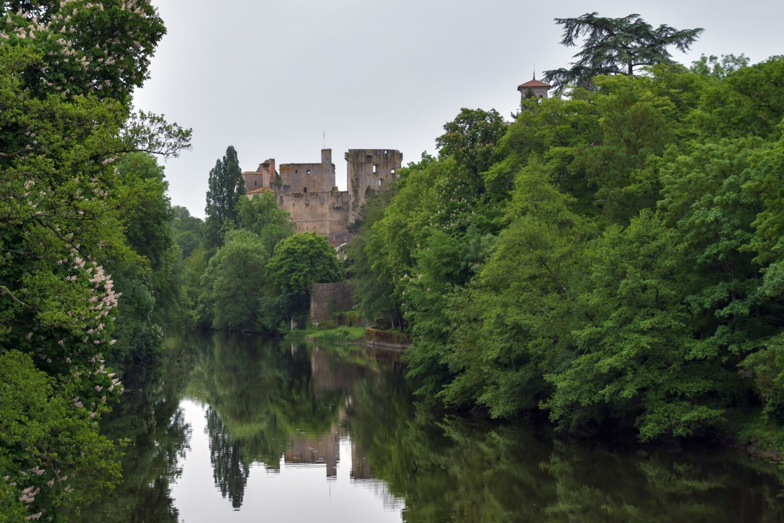 Nikon D500 sample photo. Castle, tree, river photography