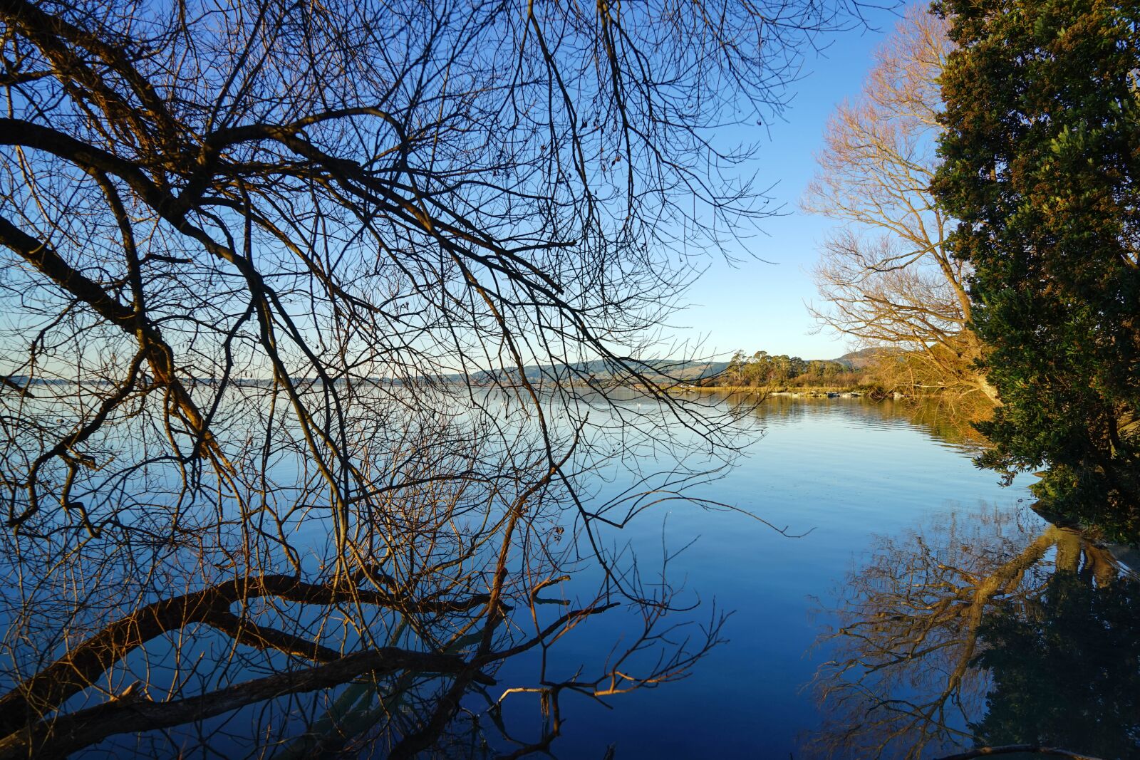 Sony a7 + Sony Vario Tessar T* FE 24-70mm F4 ZA OSS sample photo. New zealand, reflection, lake photography