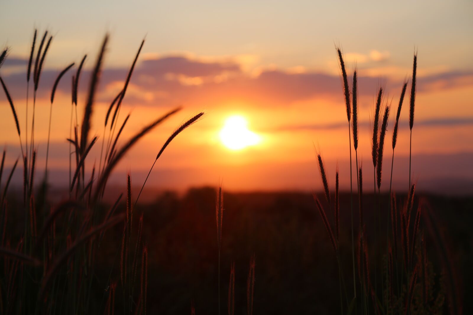 Canon EF 24-105mm F4L IS USM sample photo. Sunset, nature, in the photography