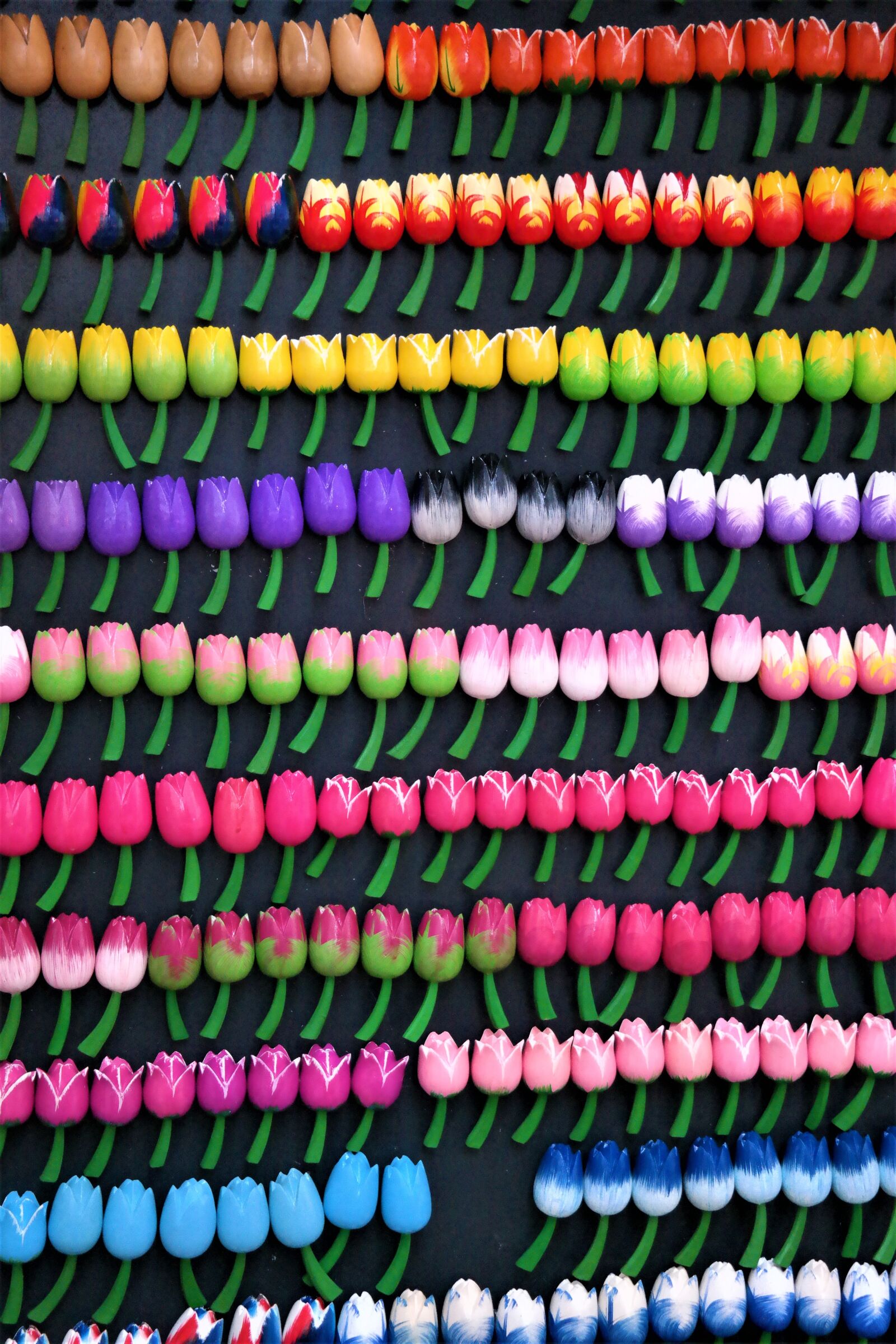 NX 18-55mm F3.5-5.6 sample photo. Tulips, magnets, color photography