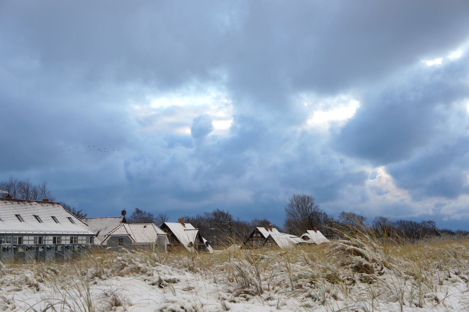 Sony Alpha NEX-5 + Sony E 18-55mm F3.5-5.6 OSS sample photo. Ahrenshoop, baltic sea, beach photography