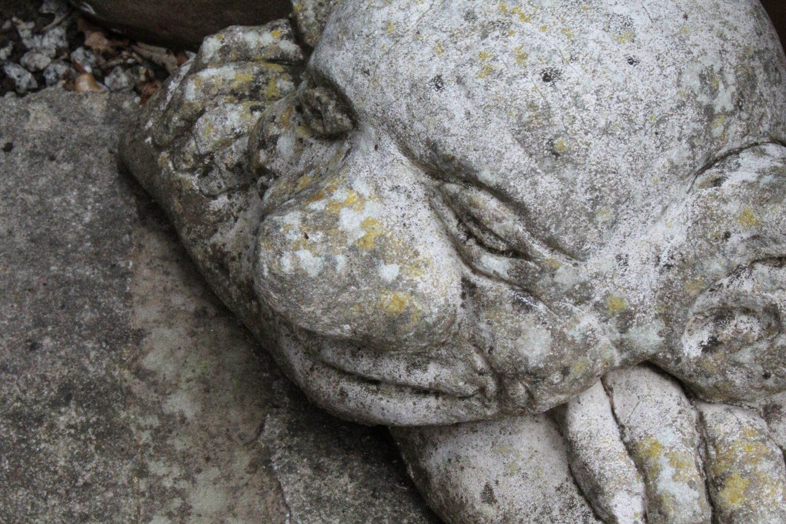 Canon EOS 1300D (EOS Rebel T6 / EOS Kiss X80) sample photo. Goblin, troll, stone photography
