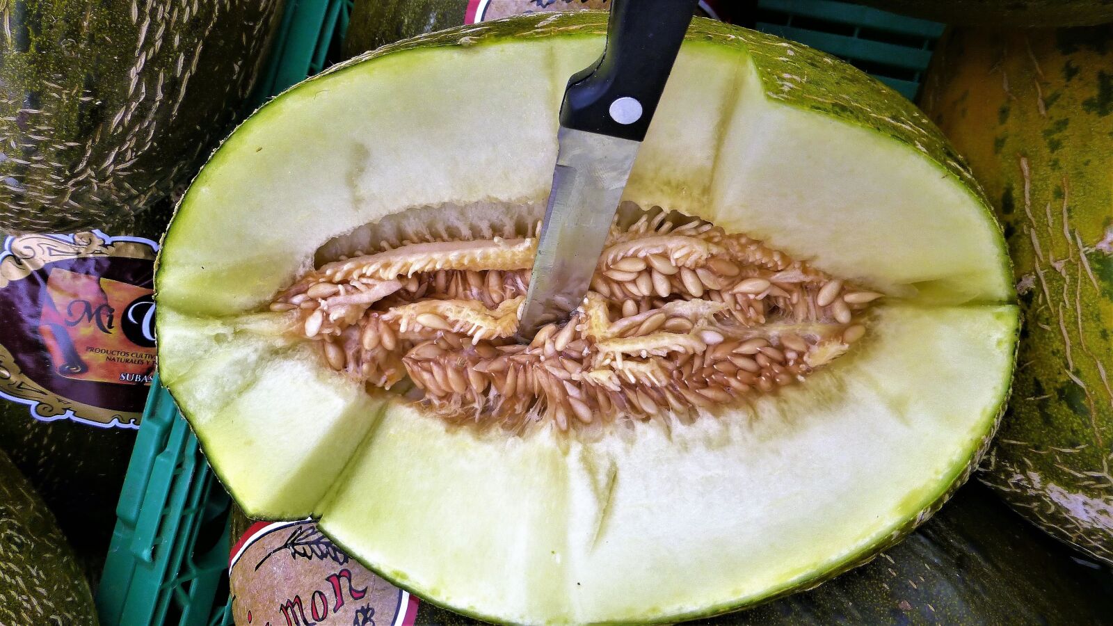 Panasonic Lumix DMC-ZS25 (Lumix DMC-TZ35) sample photo. Food, fruit, in good photography