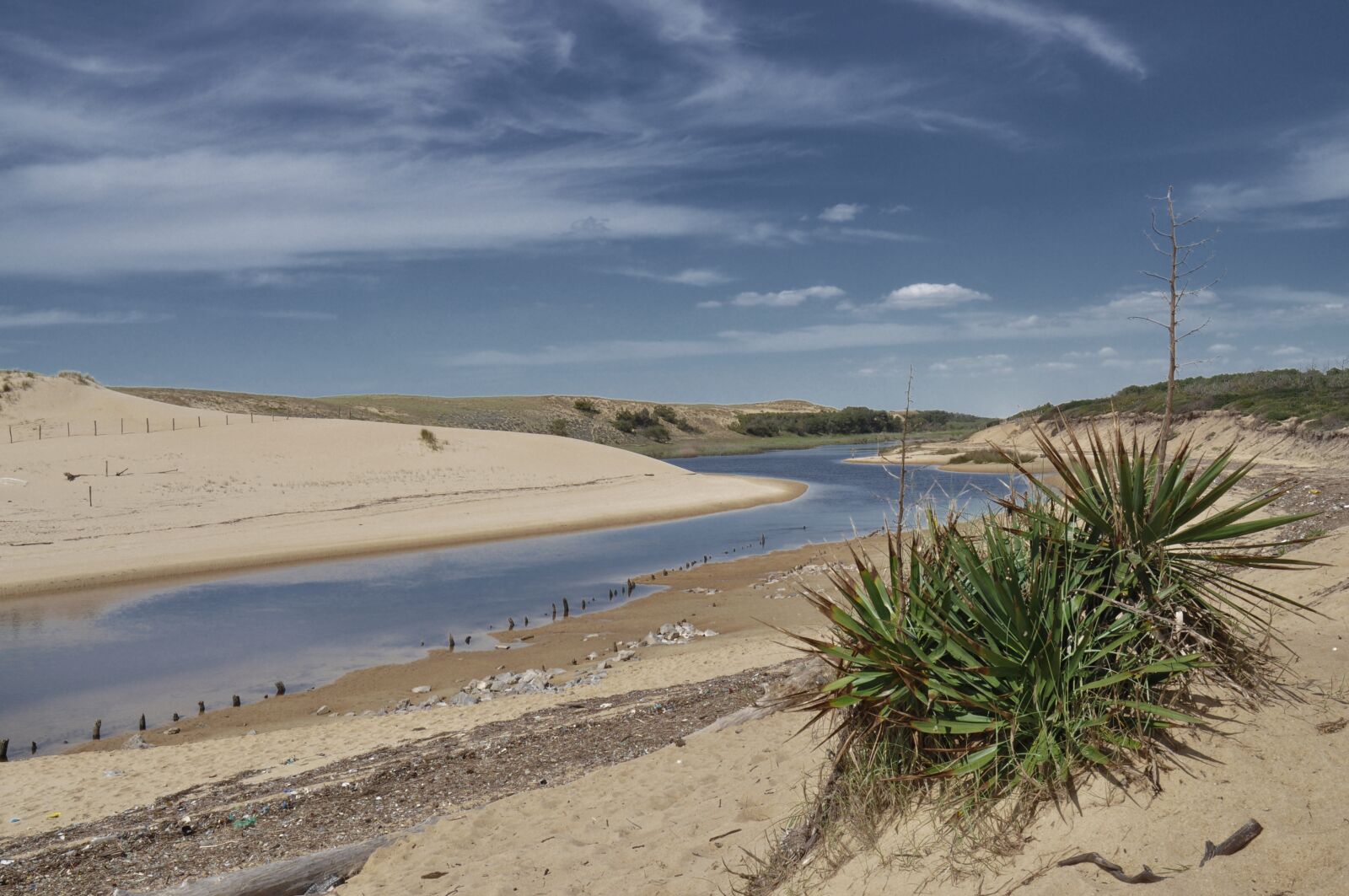 Nikon D90 sample photo. Sand, dunes, atlantic coast photography