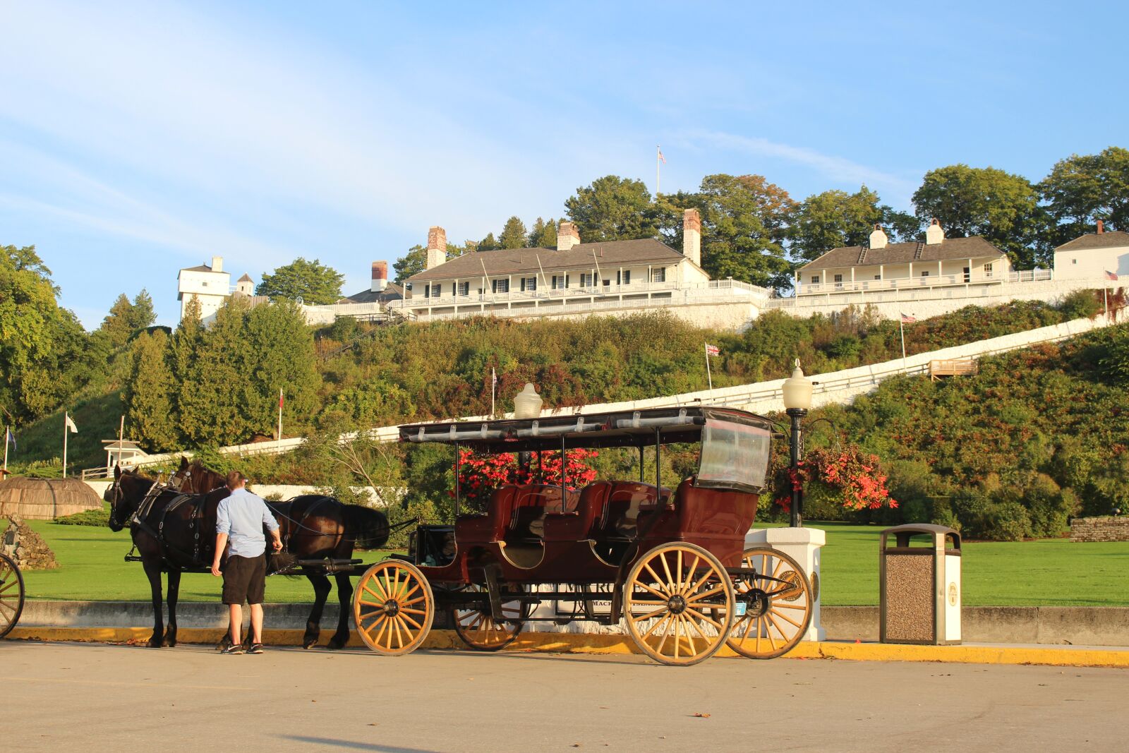 Canon EOS 700D (EOS Rebel T5i / EOS Kiss X7i) sample photo. Horse, carriage, cart photography