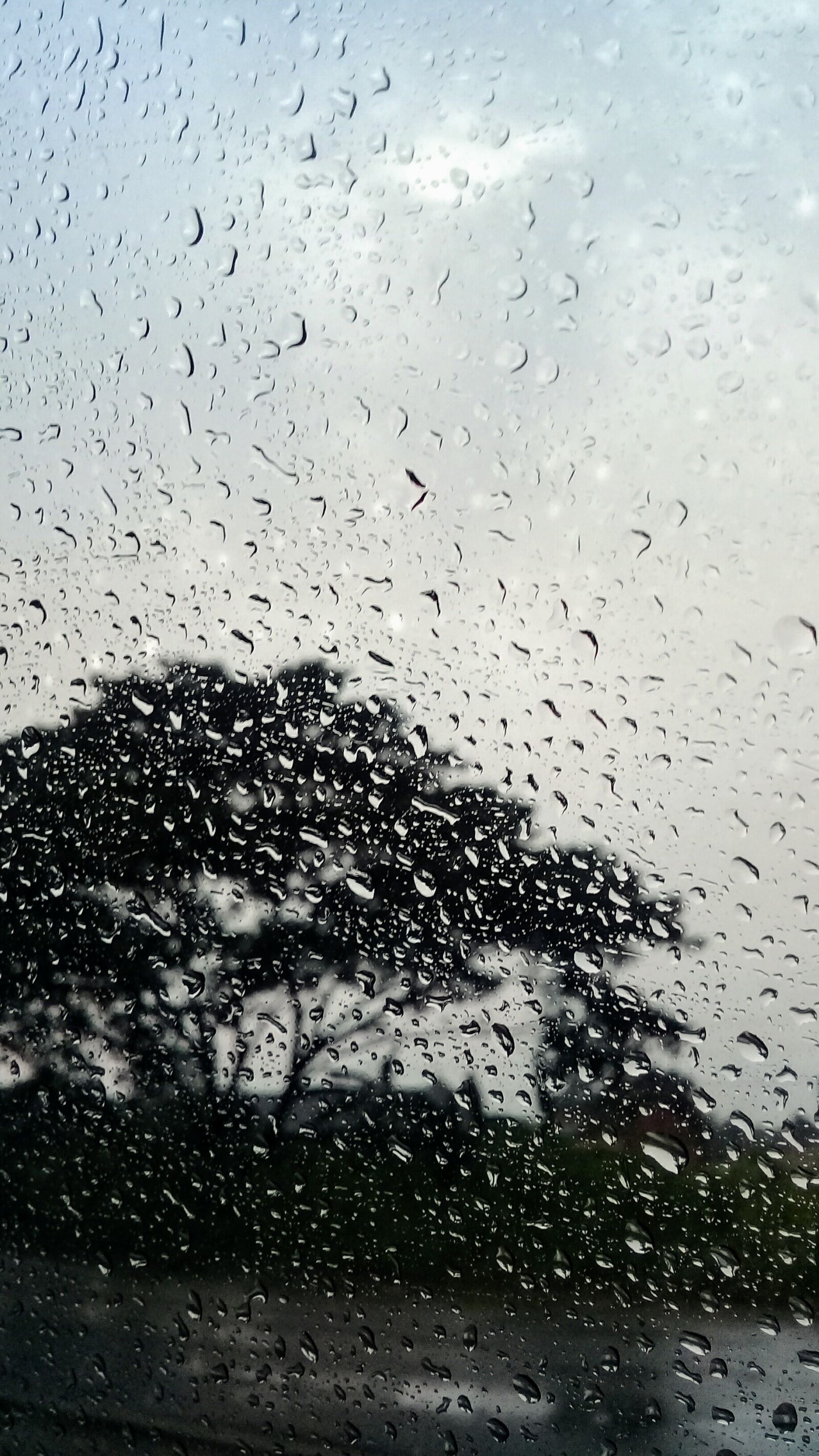Samsung Galaxy J2 Prime sample photo. Speckled, rain, glass photography