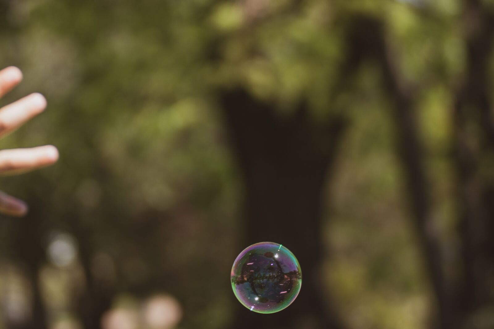 Canon EOS 200D (EOS Rebel SL2 / EOS Kiss X9) sample photo. Pomp, soap, bubbles photography