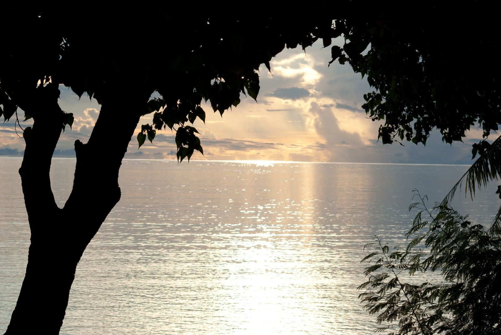 Sony Alpha DSLR-A300 sample photo. Sunset, ocean, water photography