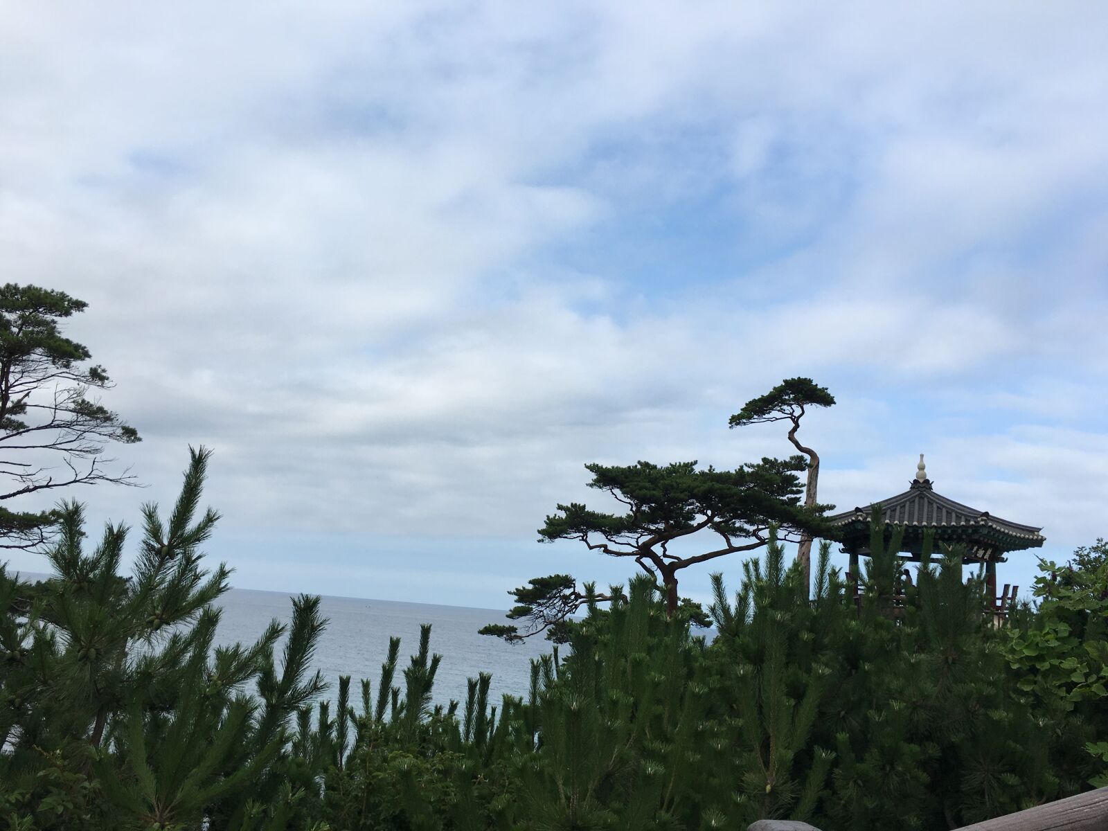 iPhone 6s back camera 4.15mm f/2.2 sample photo. Gangneung, blue sky, break photography