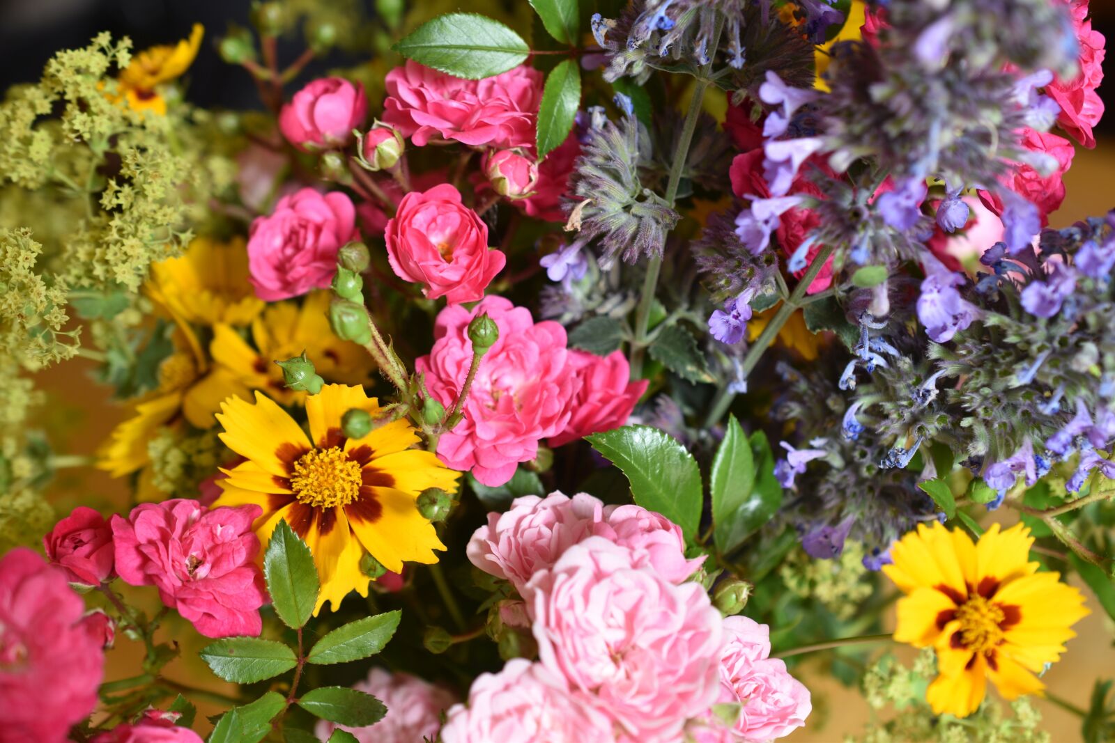 Nikon D5600 sample photo. Flowers, colorful bouquet of photography