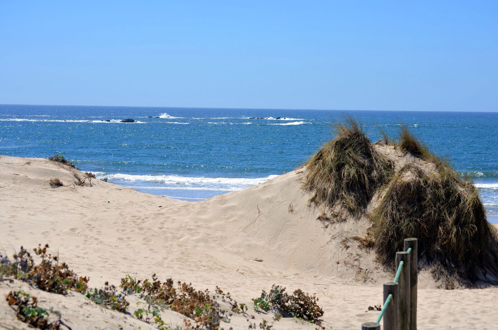 Nikon D5100 sample photo. Portugal, ocean, building photography