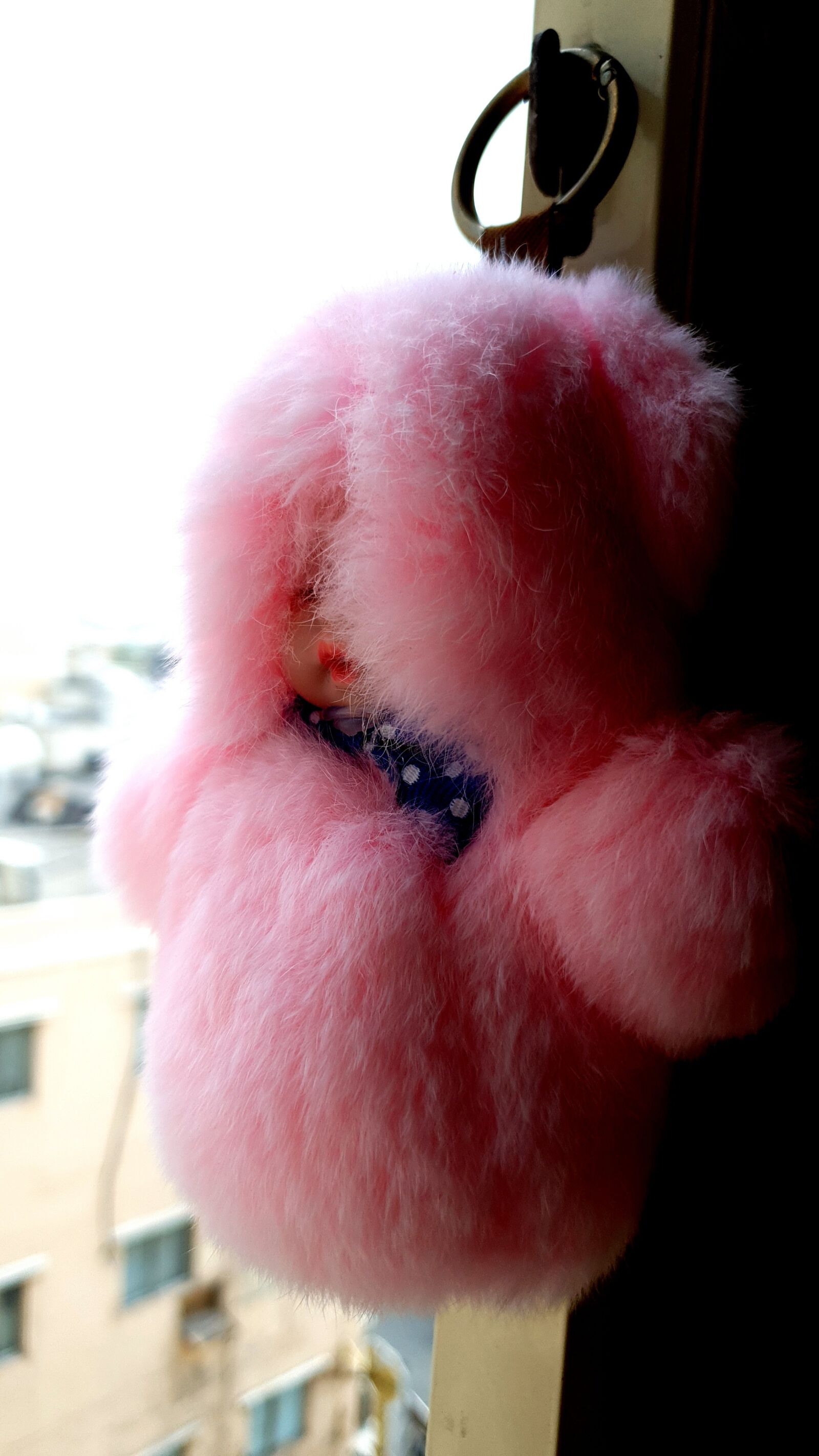 Samsung Galaxy Note9 sample photo. Toy, teddy, cool photography